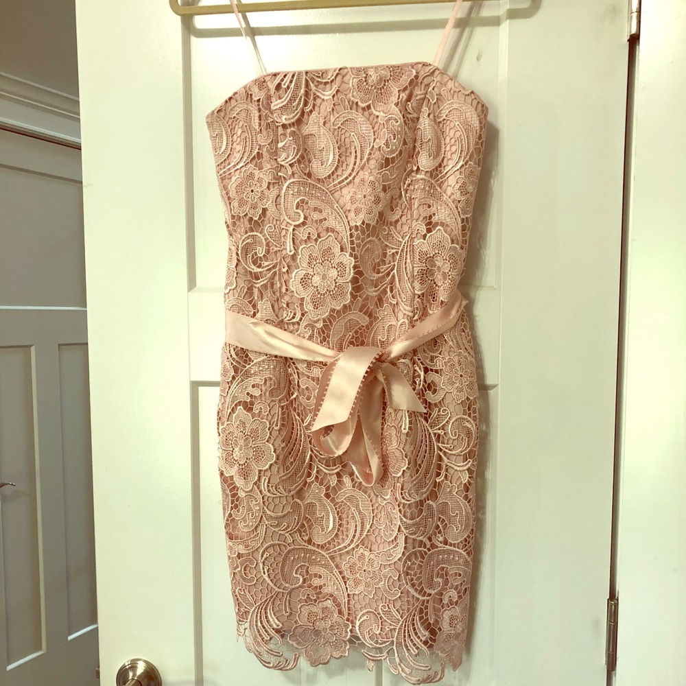 Blush Adrianna Papell Dress